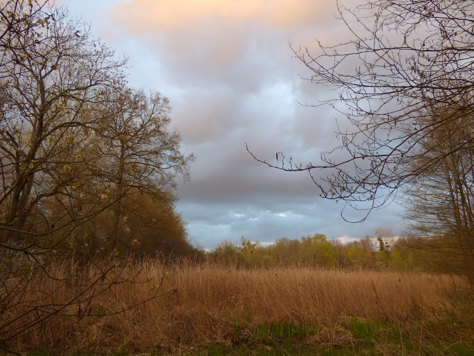 Le GOUY (8 avril 2016)